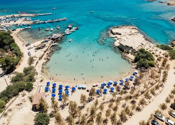 Bay * プロタラス